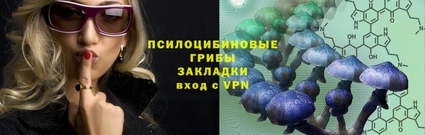 apvp Балабаново