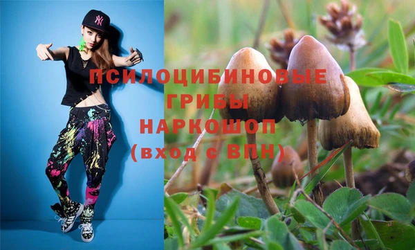 apvp Баксан